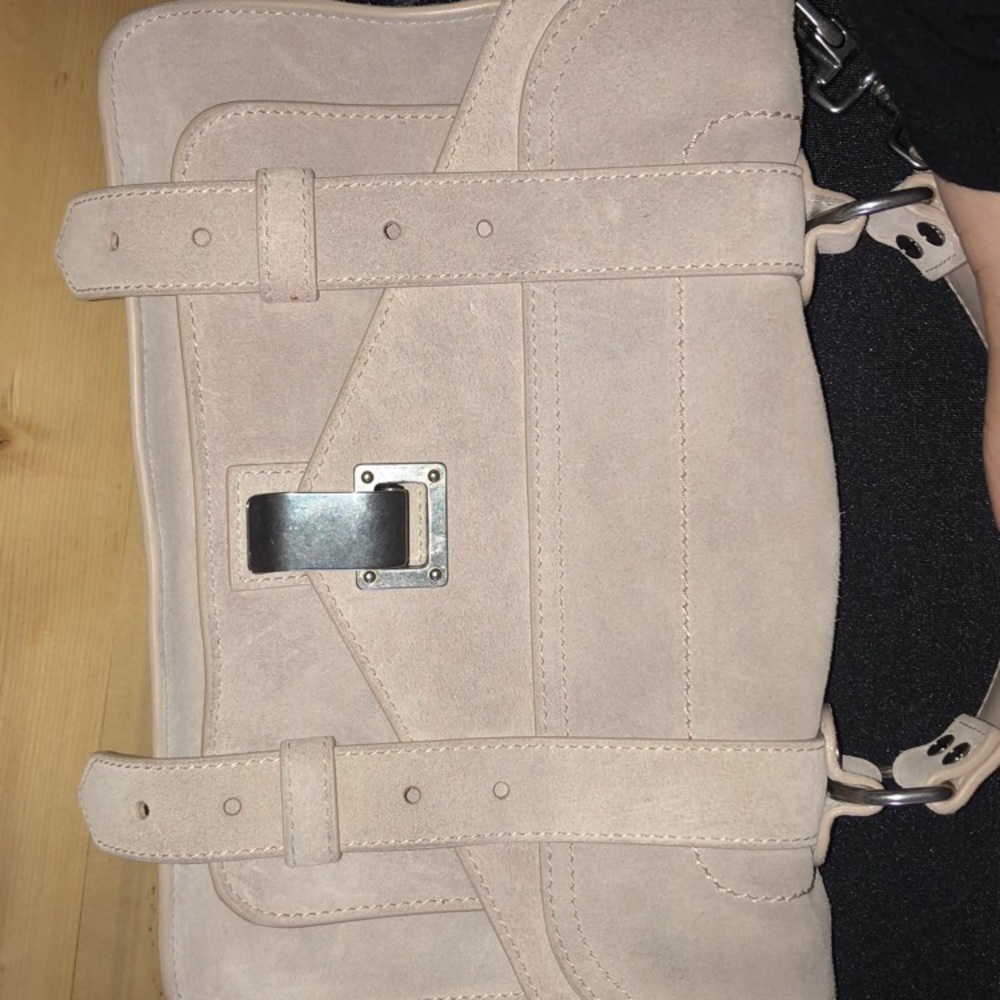 Proenza bag (tiny)
